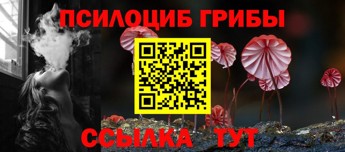 Чита  Галлюциногенные грибы MAGIC MUSHROOMS  Вход с VPN 